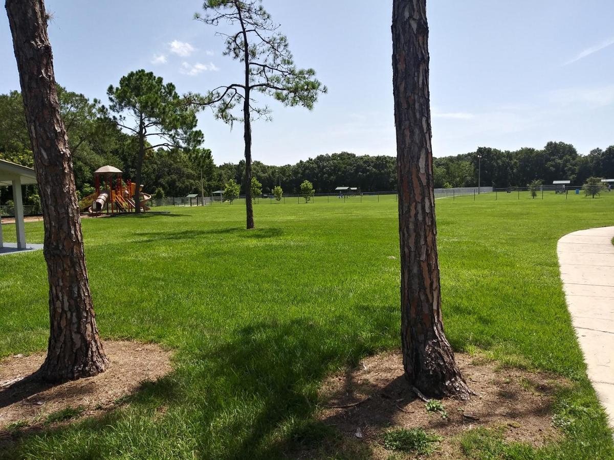 Tampa Citrus Park Daire Dış mekan fotoğraf