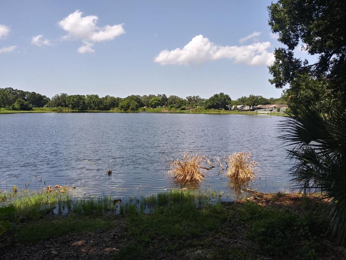 Tampa Citrus Park Daire Dış mekan fotoğraf